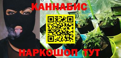 стаф Коломна