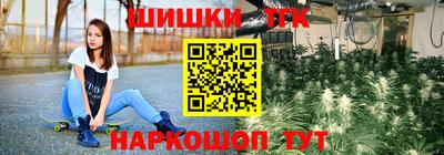 гидра Заводоуковск