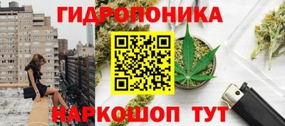 гидра Заводоуковск