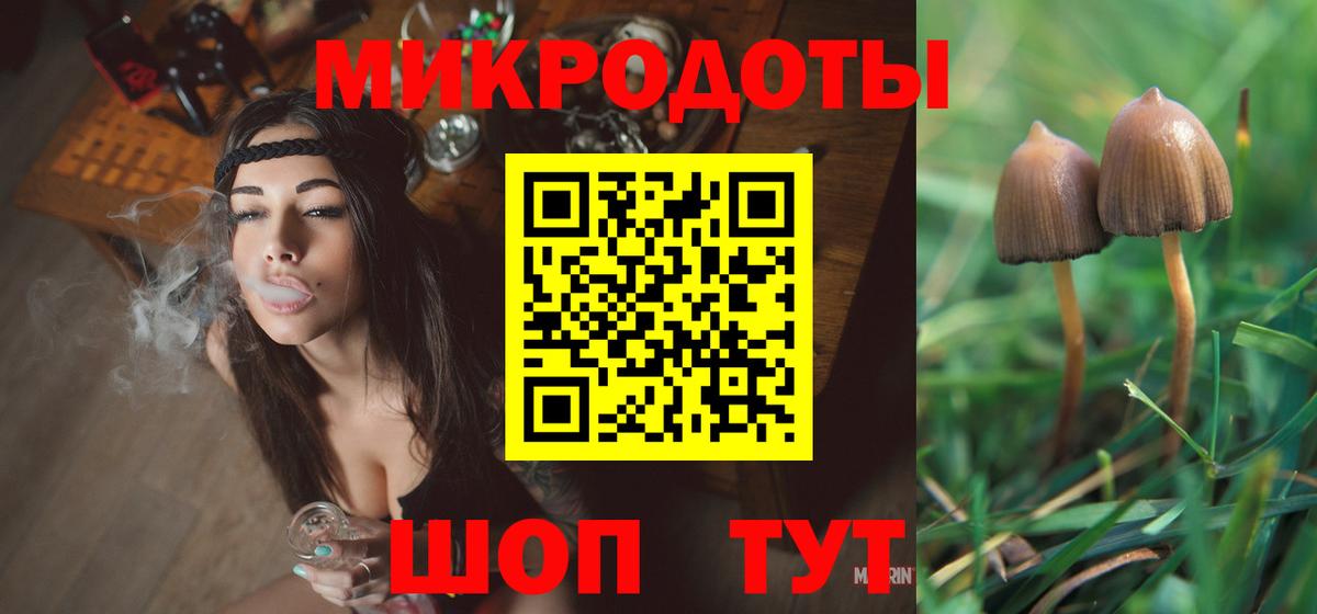 Соликамск  Галлюциногенные грибы Psilocybe  Вход с VPN 